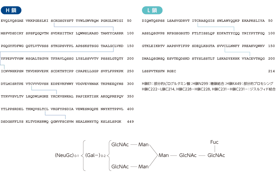 ウステキヌマブ（遺伝子組み換え）［ウステキヌマブ後続1］の主な糖鎖構造