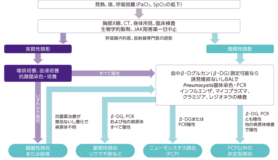 生物学的製剤、JAK阻害薬投与中における発熱、咳、呼吸困難に対するフローチャート